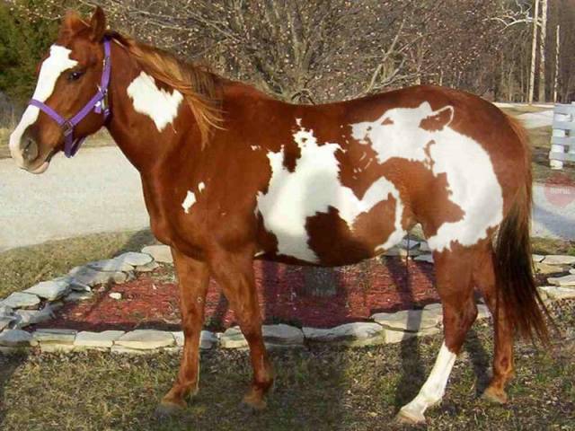 Daily Picdump