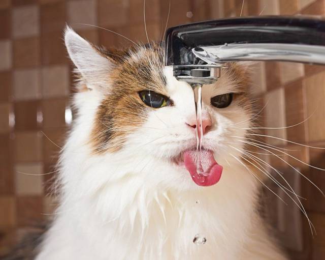 daily picdump 104 pics 43.html - 104 HD Photos | Premium Gallery 2017