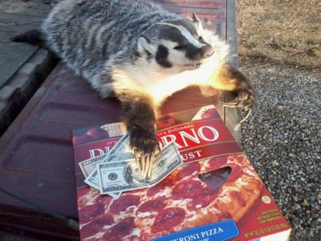 daily picdump 104 pics 43.html - 104 HD Photos | Premium Gallery 2017