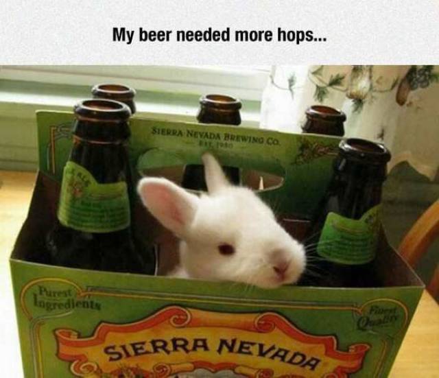 daily picdump 104 pics 43.html - 104 HD Photos | Premium Gallery 2017