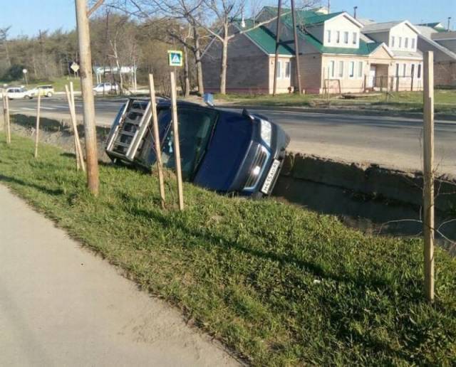 daily picdump 104 pics 43.html - 104 HD Photos | Premium Gallery 2017