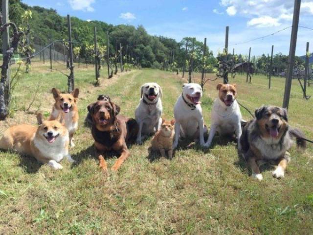 daily picdump 104 pics 43.html - 104 HD Photos | Premium Gallery 2017