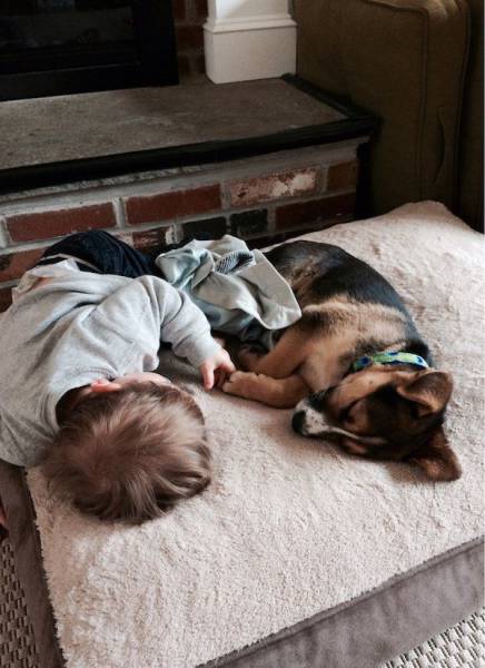 daily picdump 104 pics 43.html - 104 HD Photos | Premium Gallery 2017