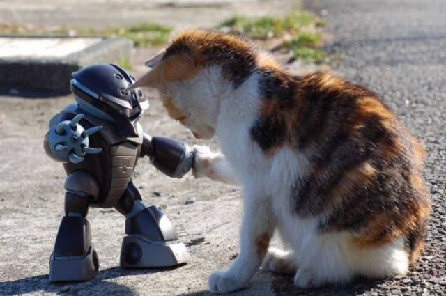 daily picdump 104 pics 43.html - 104 HD Photos | Premium Gallery 2017