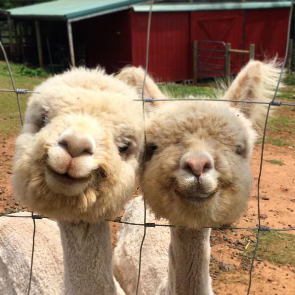 daily picdump 104 pics 43.html - 104 HD Photos | Premium Gallery 2017