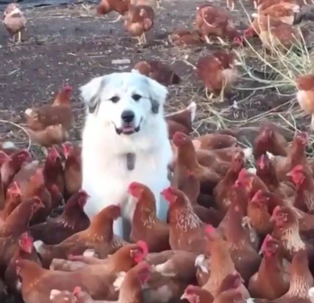 daily picdump 104 pics 43.html - 104 HD Photos | Premium Gallery 2017