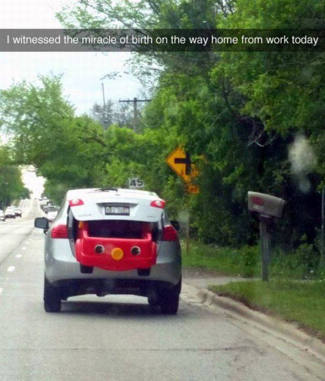 Daily Picdump