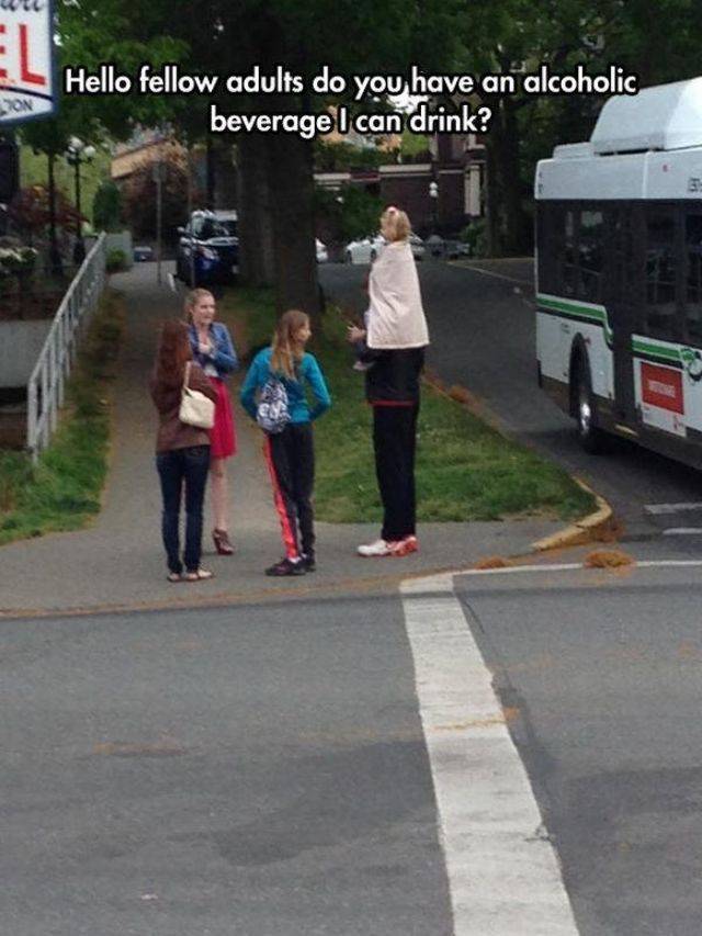 Daily Picdump