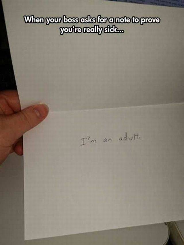 Daily Picdump
