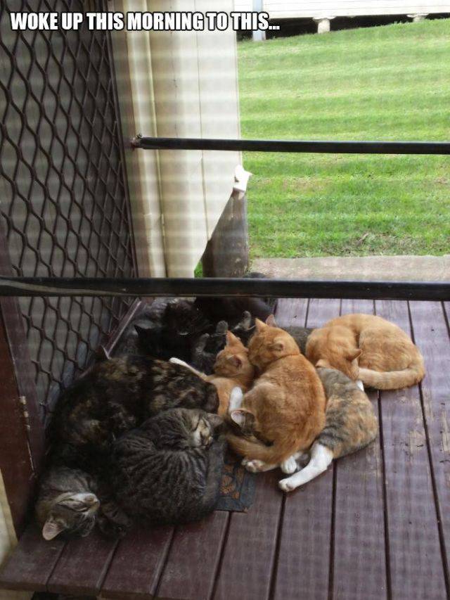 daily picdump 104 pics 43.html - 104 HD Photos | Premium Gallery 2017