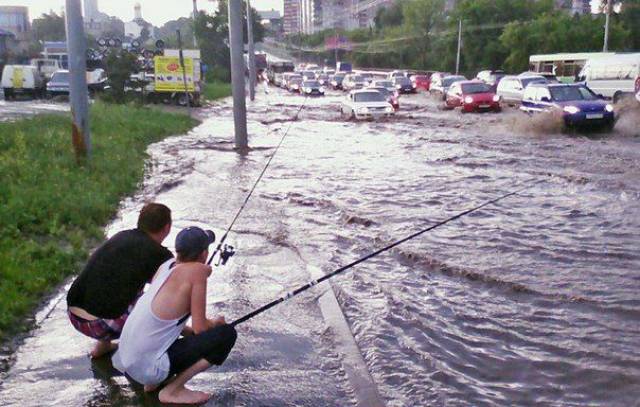 Daily Picdump