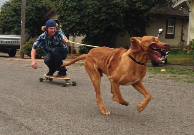 Daily Picdump