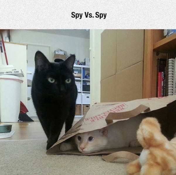 daily picdump 99 pics 22.html - 99 HD Photos | Premium Gallery 2017