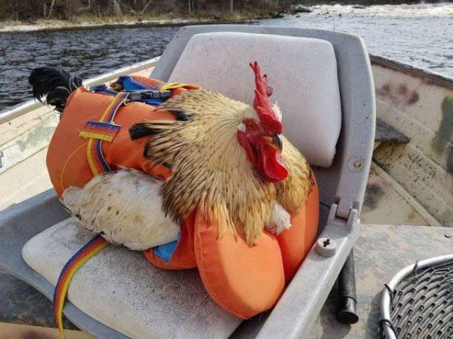 daily picdump 99 pics 22.html - 99 HD Photos | Premium Gallery 2017
