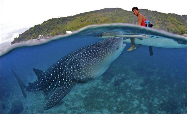 daily picdump 99 pics 22.html - 99 HD Photos | Premium Gallery 2017