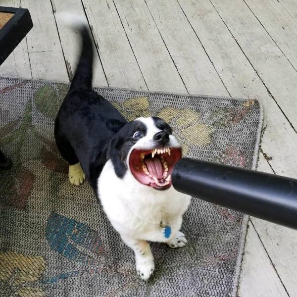 daily picdump 100 pics 46.html - 100 HD Photos | Premium Gallery 2017