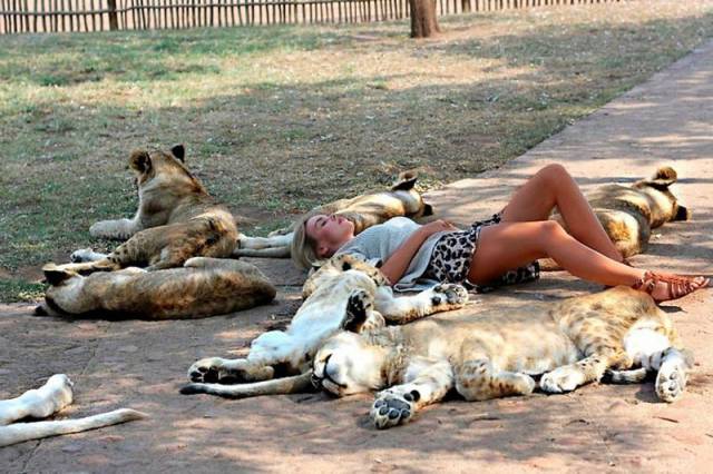 Daily Picdump