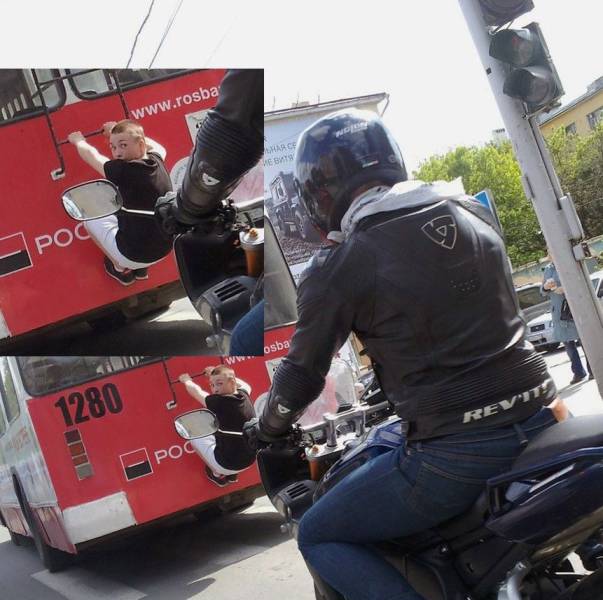Daily Picdump