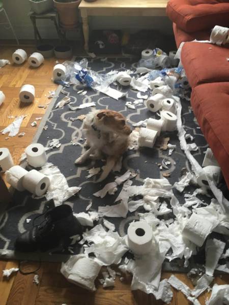 daily picdump 100 pics 46.html - 100 HD Photos | Premium Gallery 2017