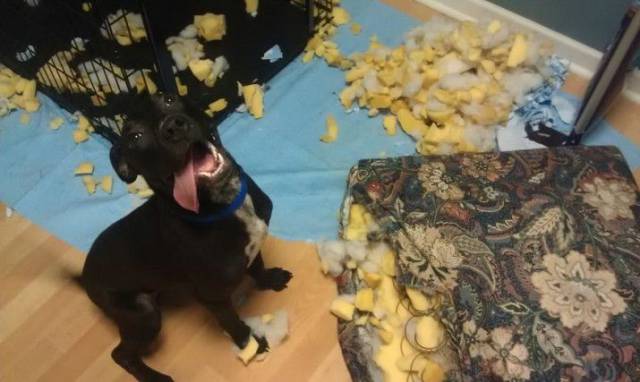 daily picdump 100 pics 46.html - 100 HD Photos | Premium Gallery 2017