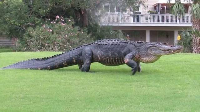 daily picdump 100 pics 46.html - 100 HD Photos | Premium Gallery 2017
