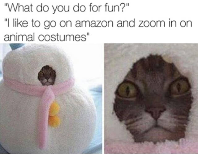 funny picdump 51 pics 7.html - 51 HD Photos | Premium Gallery 2017