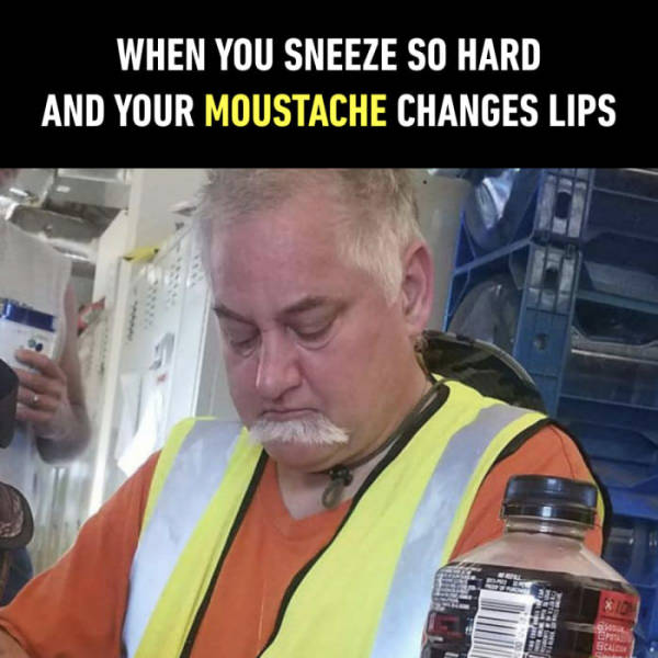 funny picdump 51 pics 7.html - 51 HD Photos | Premium Gallery 2017