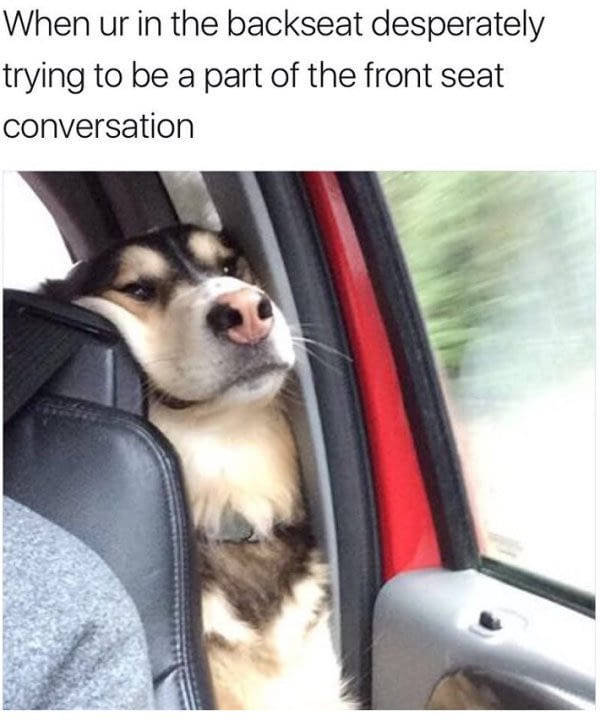funny picdump 51 pics 7.html - 51 HD Photos | Premium Gallery 2017