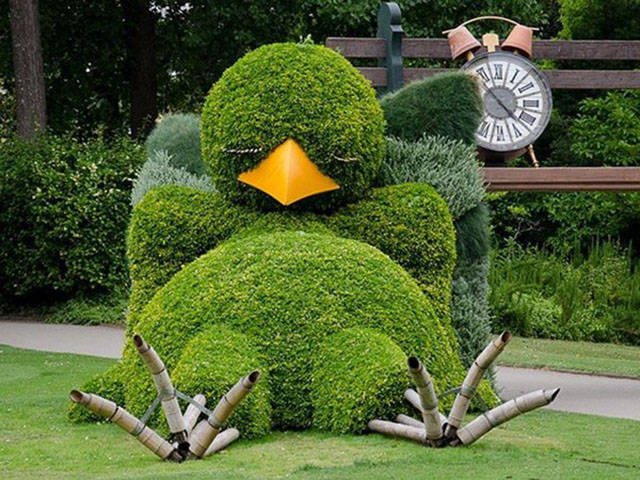 Morning Picdump