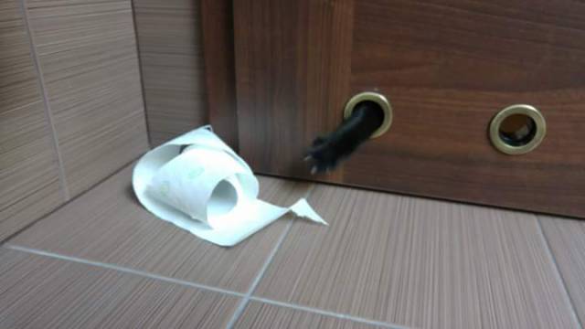 morning picdump 52 pics 12.html - 52 HD Photos | Premium Gallery 2017