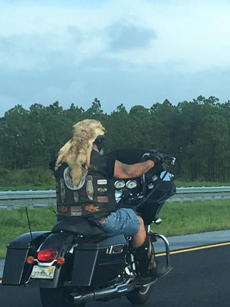 morning picdump 52 pics 12.html - 52 HD Photos | Premium Gallery 2017