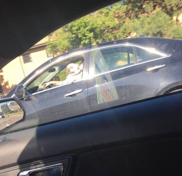 morning picdump 52 pics 12.html - 52 HD Photos | Premium Gallery 2017