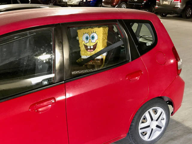 morning picdump 52 pics 12.html - 52 HD Photos | Premium Gallery 2017