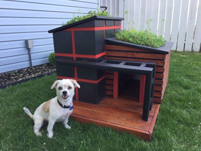 morning picdump 53 pics 21.html - 53 HD Photos | Premium Gallery 2017