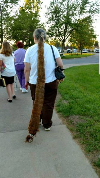 daily picdump weekend edition 74 pics 16.html - 74 HD Photos | Premium Gallery 2017