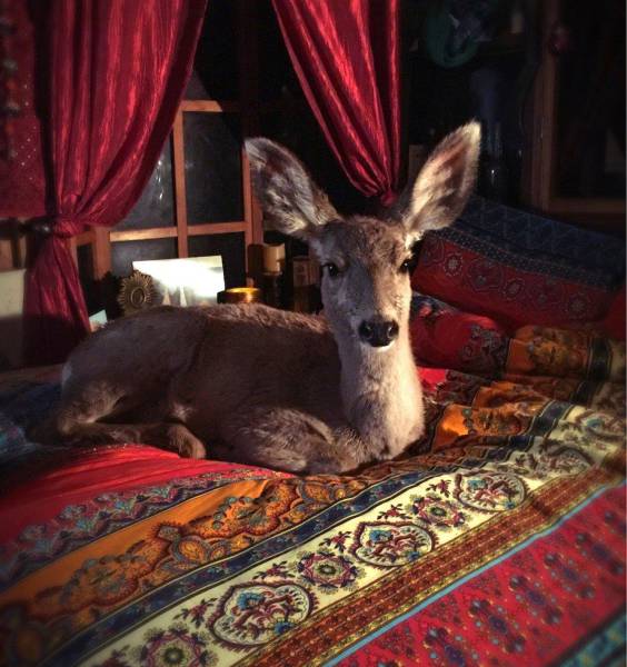 daily picdump weekend edition 74 pics 16.html - 74 HD Photos | Premium Gallery 2017