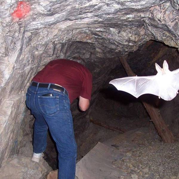 daily picdump weekend edition 74 pics 16.html - 74 HD Photos | Premium Gallery 2017