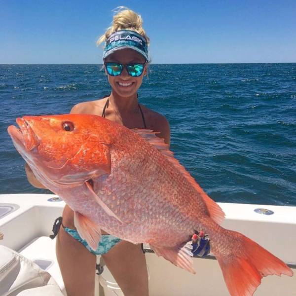 daily picdump weekend edition 74 pics 16.html - 74 HD Photos | Premium Gallery 2017