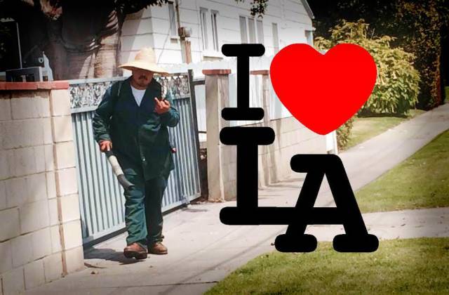 daily picdump weekend edition 74 pics 16.html - 74 HD Photos | Premium Gallery 2017