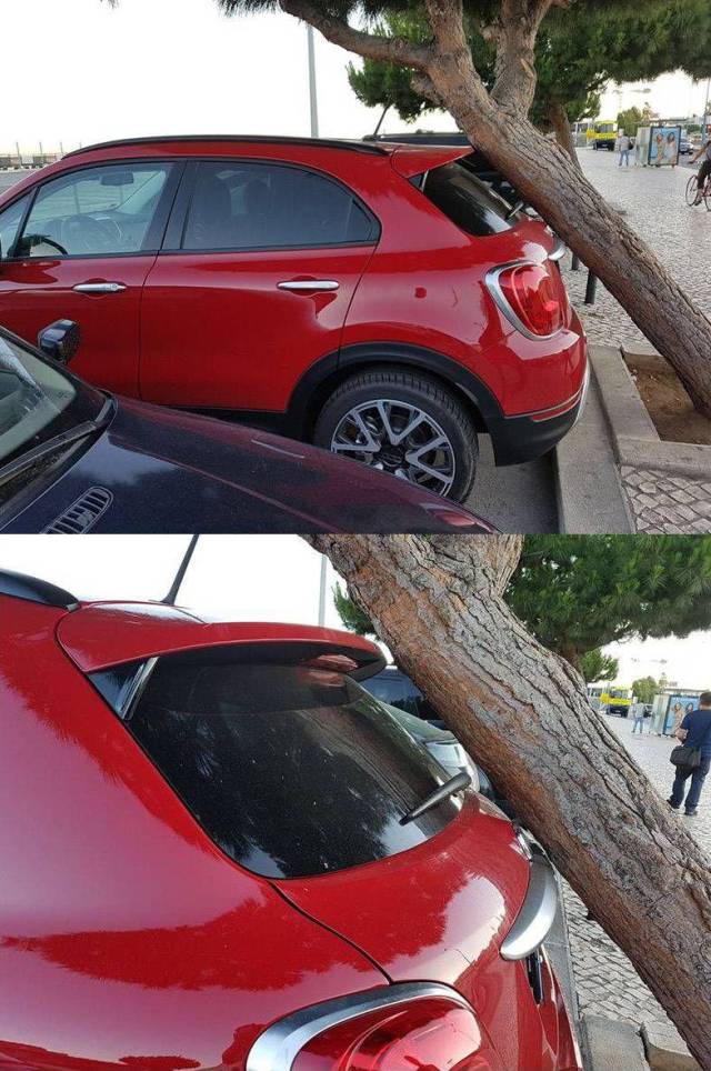 daily picdump weekend edition 74 pics 16.html - 74 HD Photos | Premium Gallery 2017