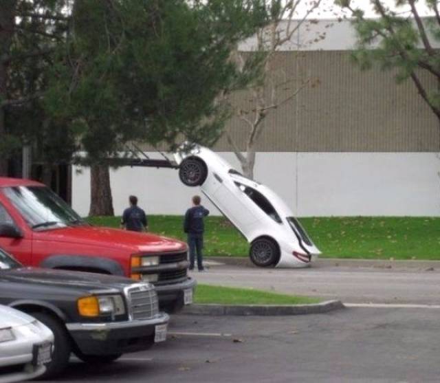Daily Picdump