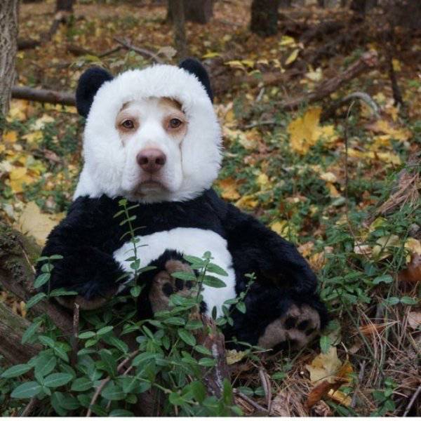 daily picdump 86 pics 30.html - 86 HD Photos | Premium Gallery 2017