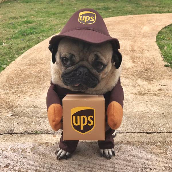 morning picdump 52 pics 12.html - 52 HD Photos | Premium Gallery 2017