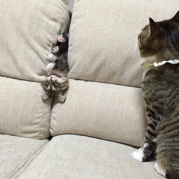 morning picdump 52 pics 12.html - 52 HD Photos | Premium Gallery 2017