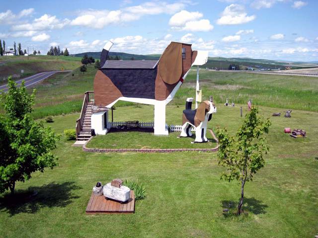 morning picdump 52 pics 12.html - 52 HD Photos | Premium Gallery 2017