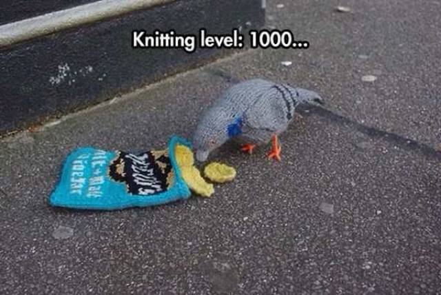 Daily Picdump