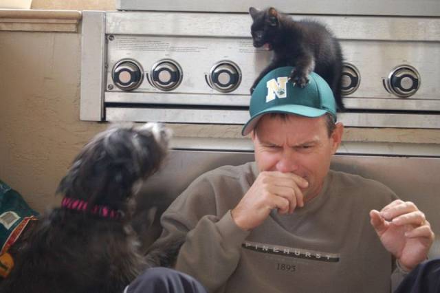 Daily Picdump