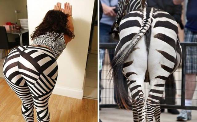 daily picdump 89 pics 35.html - 89 HD Photos | Premium Gallery 2017