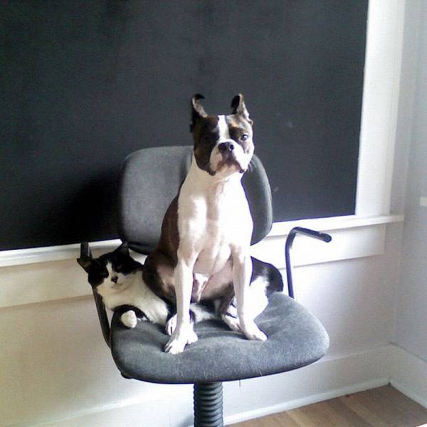 daily picdump 89 pics 35.html - 89 HD Photos | Premium Gallery 2017