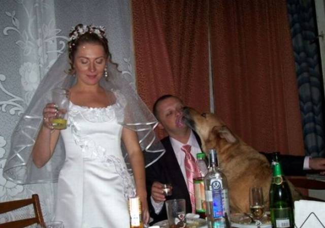 daily picdump 89 pics 35.html - 89 HD Photos | Premium Gallery 2017